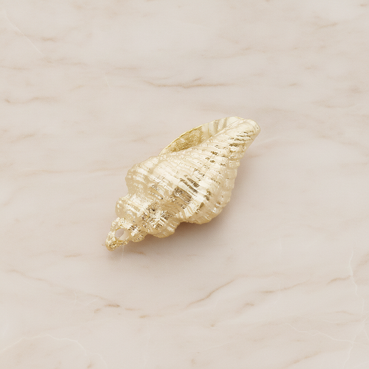 Conch Seashell Ver.4 Pendant, 2 Pc on warm marble background (PD.1050)