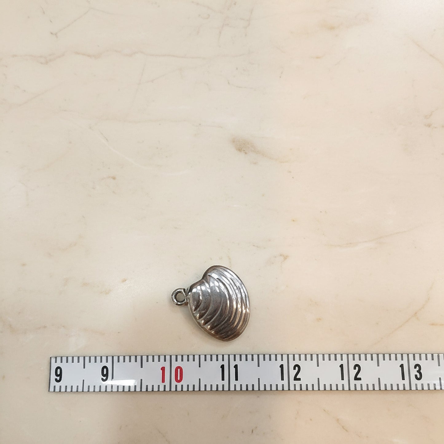Clam Shell Surgical Steel Pendant, 2 Pc (SG.136)