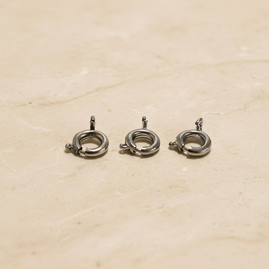 Round Surgical Steel 6mm Spring Ring Clasp, 2 pc (SG.592)