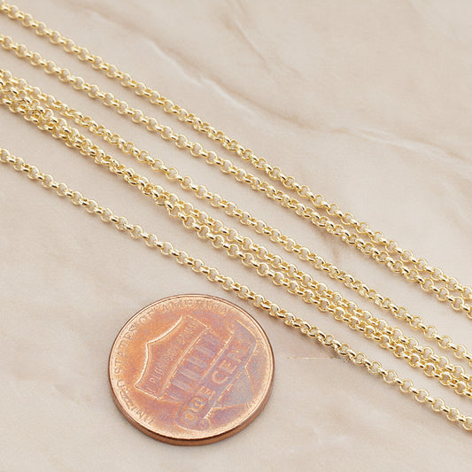 1.6 Rolo Chain, 1 Meter (CH.011)