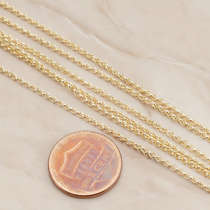 1.6 Rolo Chain, 1 Meter (CH.011)