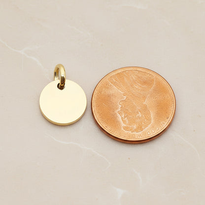 Round Surgical Steel 12mm Pendant, 2 Pc - detail view 1 (SG.011)