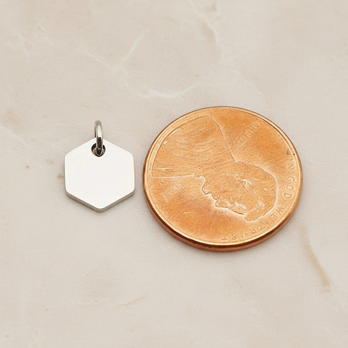 Hexagon Surgical Steel 8mm Pendant, 2 Pc - detail view 1 (SG.014)