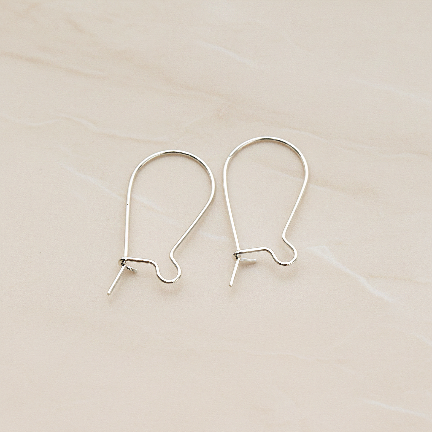 Kidney Ear Wire, 6 Pc (ER.312)