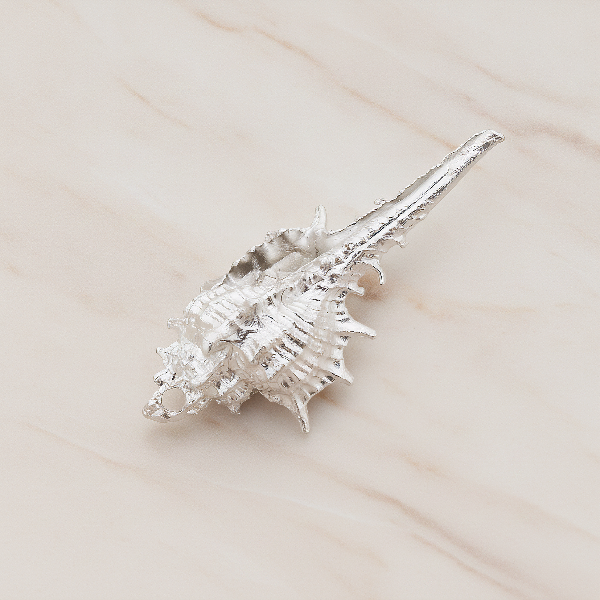 Murex Seashell Ver.5 Pendant, 2 Pc on warm marble background (PD.1044)