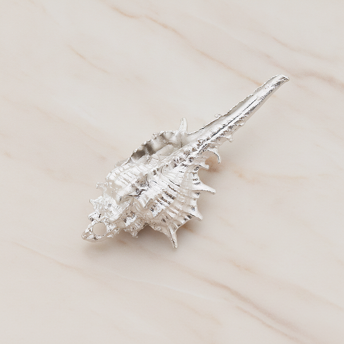 Murex Seashell Ver.5 Pendant, 2 Pc on warm marble background (PD.1044)