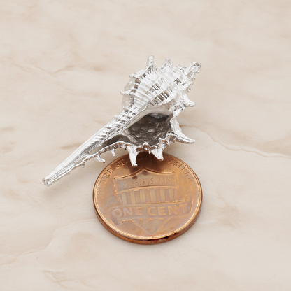 Murex Seashell Ver.5 Pendant, 2 Pc on warm marble background (PD.1044)