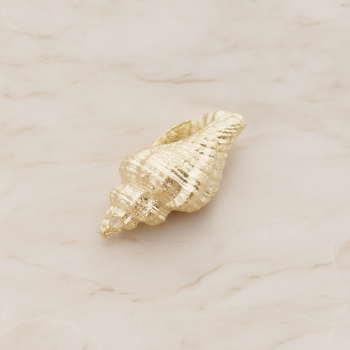 Conch Seashell Ver.4 Pendant, 2 Pc on warm marble background (PD.1050)