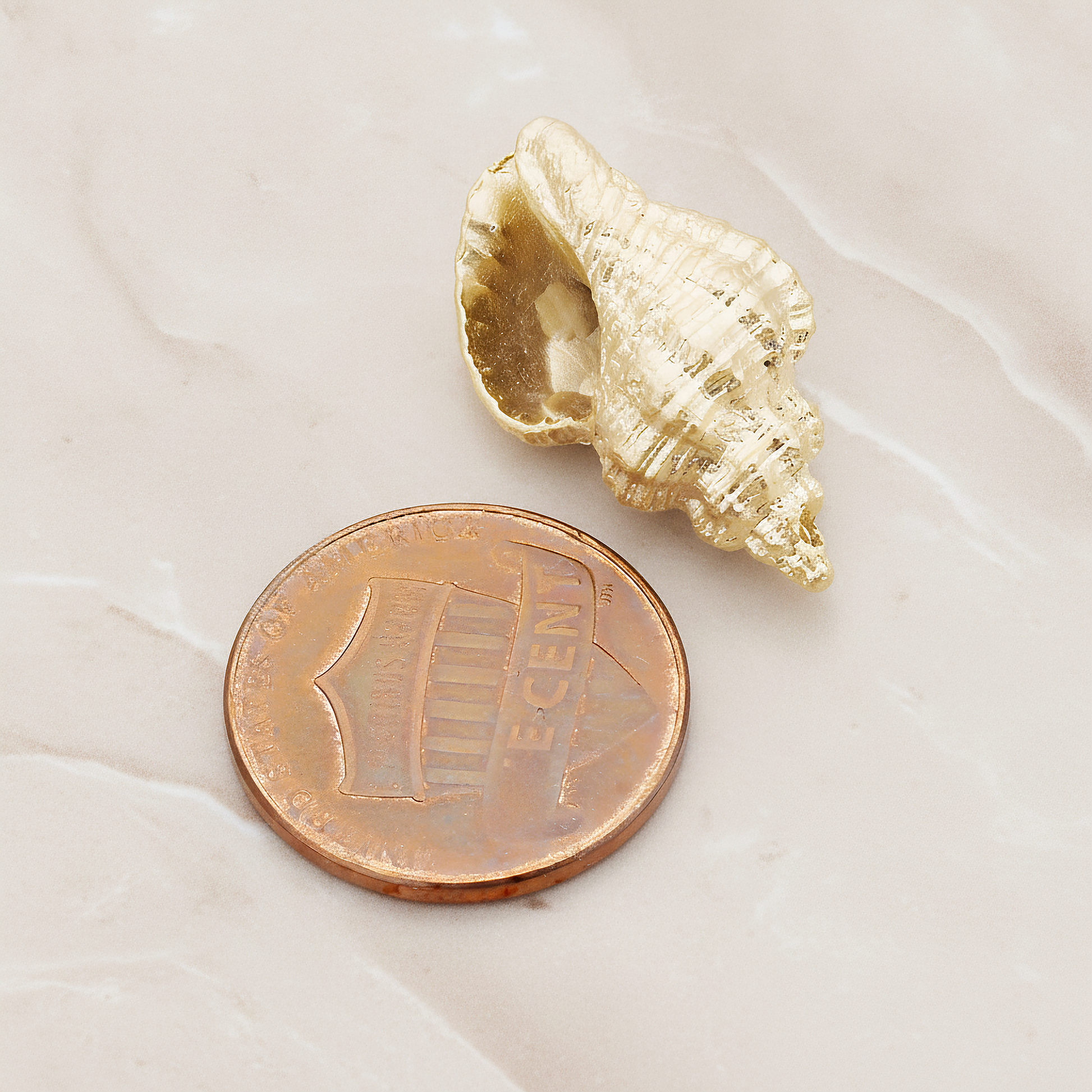 Conch Seashell Ver.4 Pendant, 2 Pc on warm marble background (PD.1050)