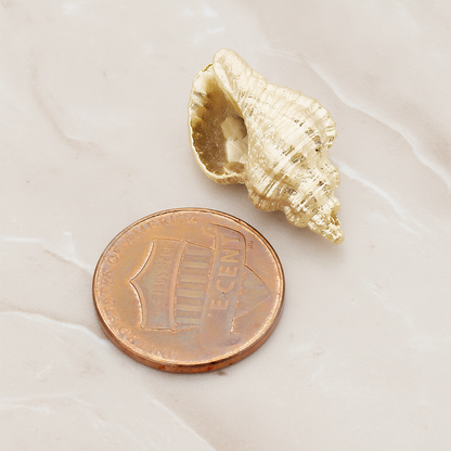 Conch Seashell Ver.4 Pendant, 2 Pc on warm marble background (PD.1050)