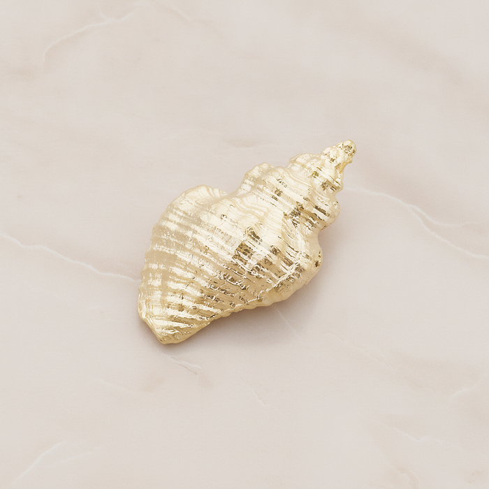 Conch Seashell Ver.4 Pendant, 2 Pc on warm marble background (PD.1050)