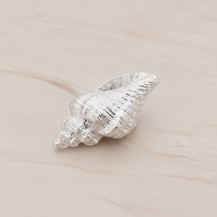 Conch Seashell Ver.4 Pendant, 2 Pc on warm marble background (PD.1050)