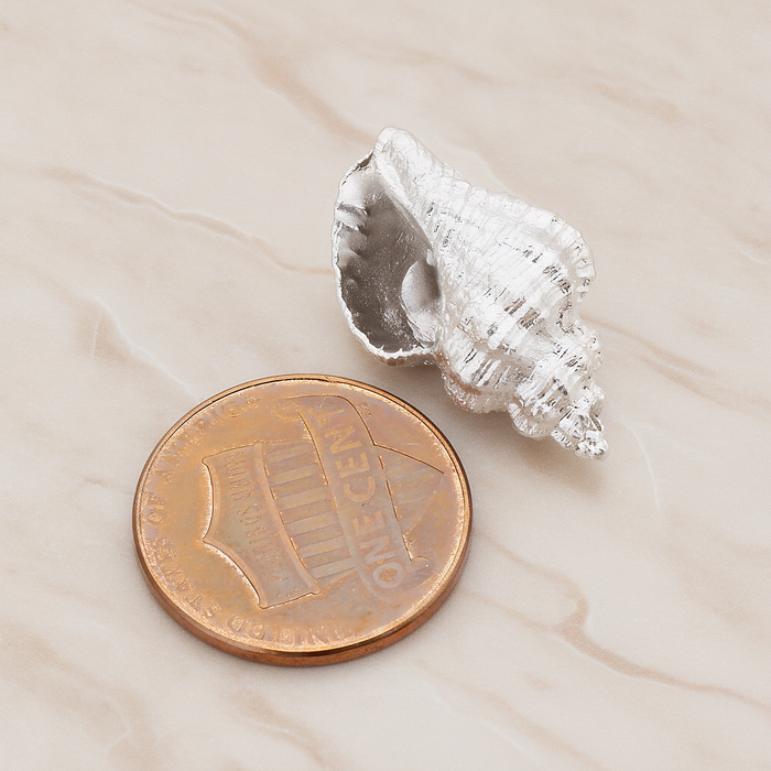 Conch Seashell Ver.4 Pendant, 2 Pc on warm marble background (PD.1050)