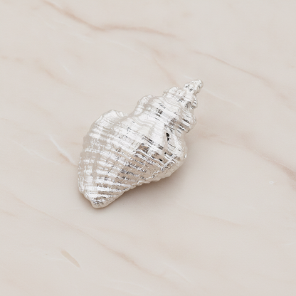 Conch Seashell Ver.4 Pendant, 2 Pc on warm marble background (PD.1050)