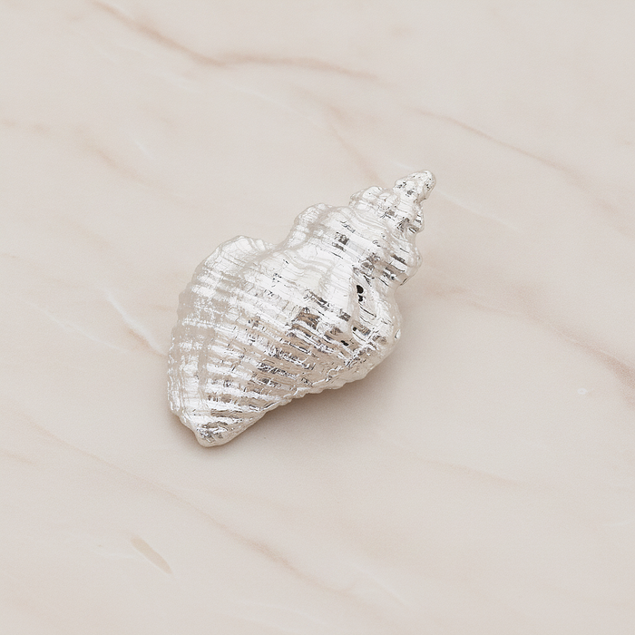 Conch Seashell Ver.4 Pendant, 2 Pc on warm marble background (PD.1050)