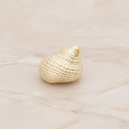 Conch Seashell Ver.3 Pendant, 2 Pc on warm marble background (PD.1051)