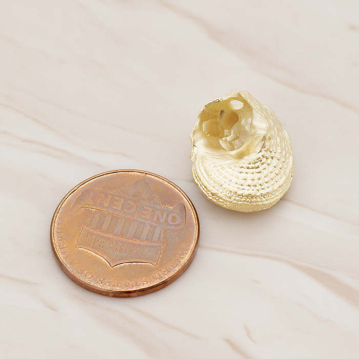 Conch Seashell Ver.2 Pendant, 2 Pc on warm marble background (PD.1052)