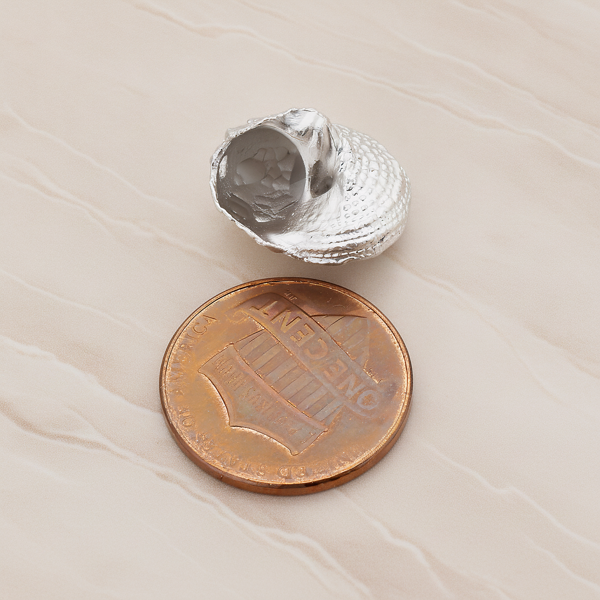 Conch Seashell Ver.2 Pendant, 2 Pc on warm marble background (PD.1052)