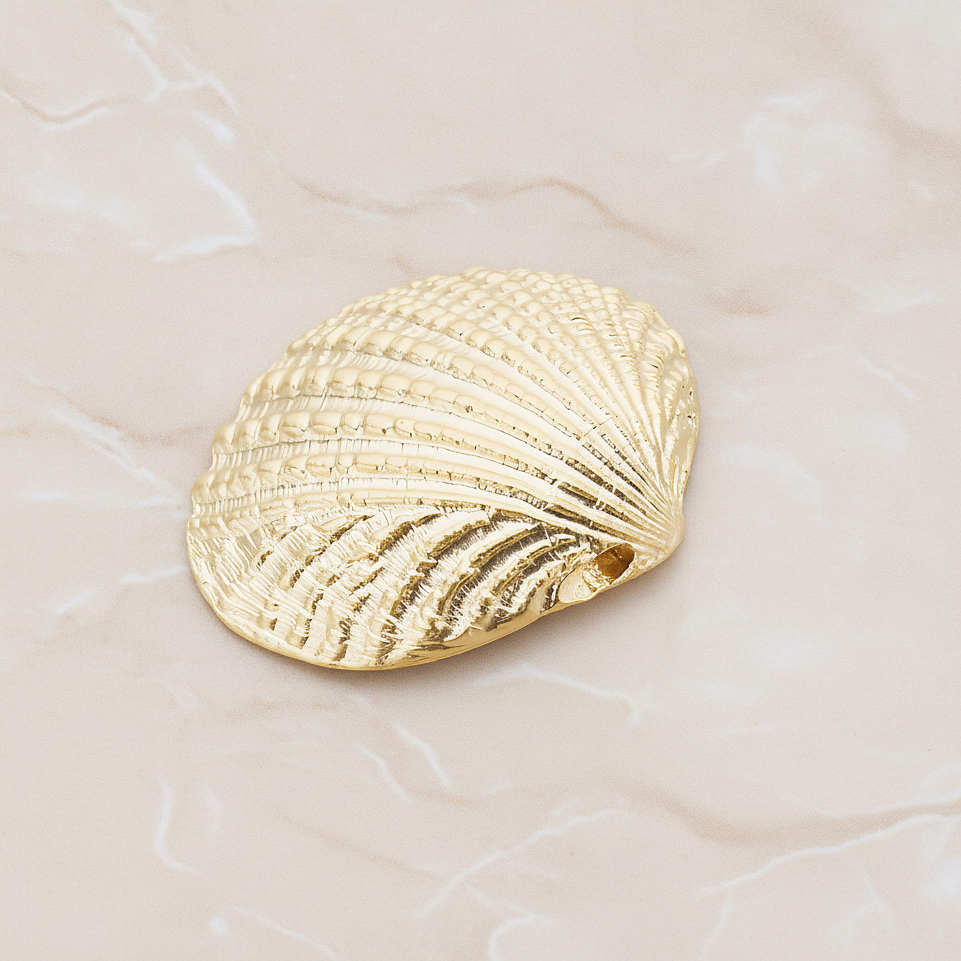 Clam Seashell Ver.1 Pendant, 2 Pc on warm marble background (PD.1053)