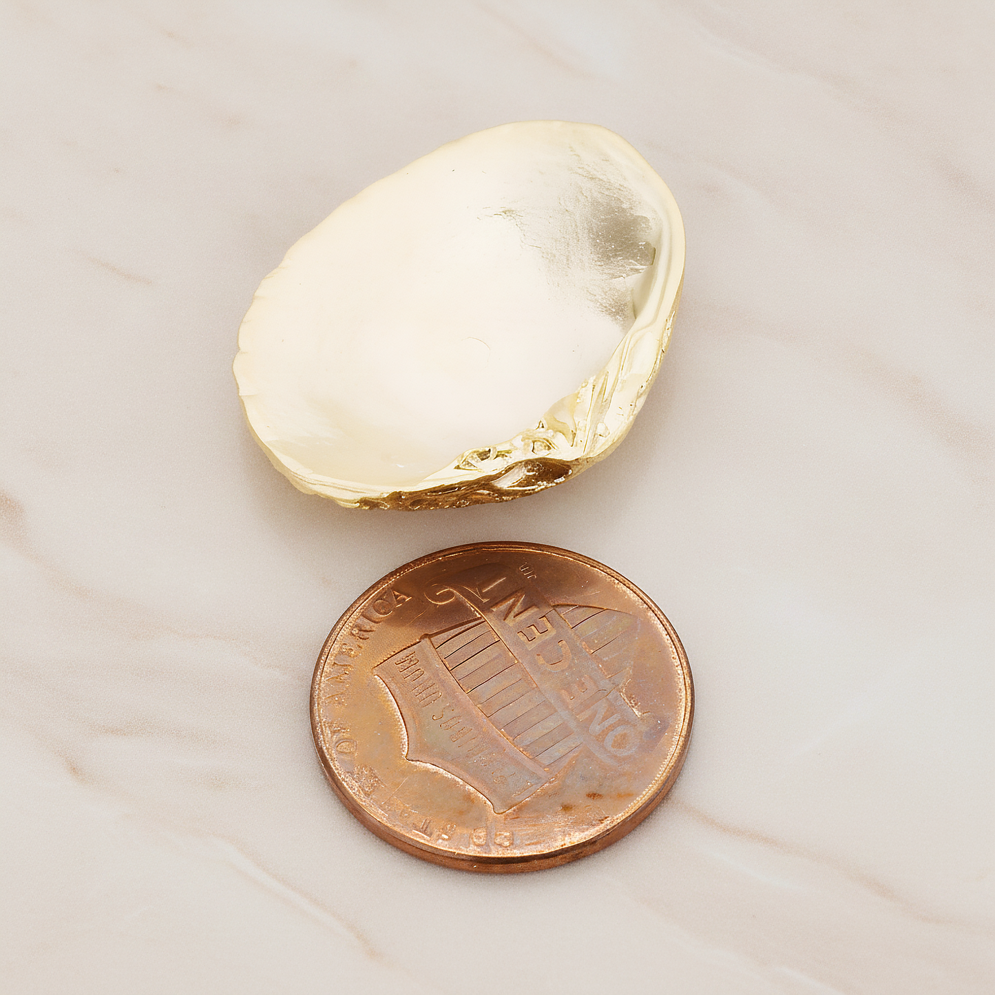 Clam Seashell Ver.1 Pendant, 2 Pc on warm marble background (PD.1053)