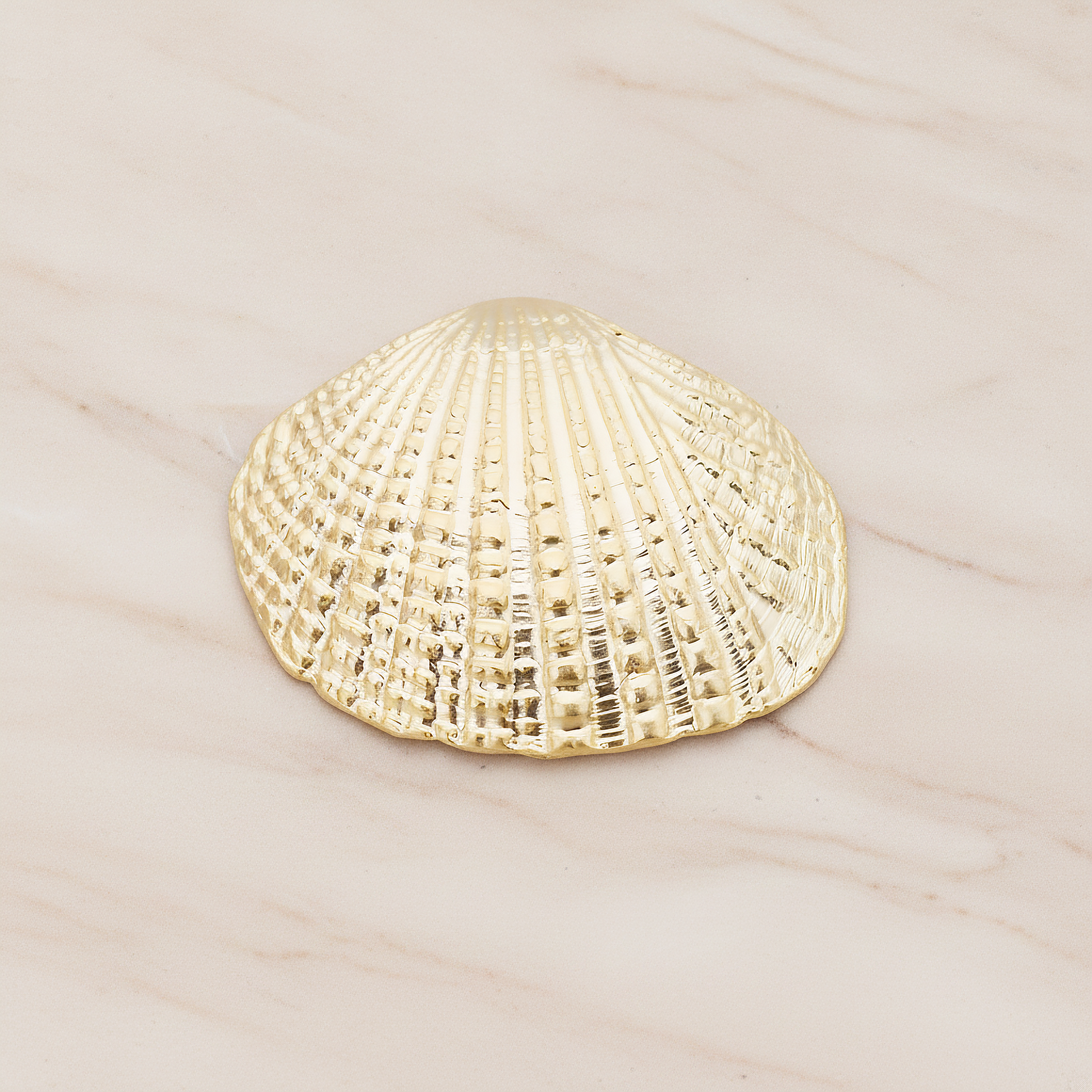 Clam Seashell Ver.1 Pendant, 2 Pc on warm marble background (PD.1053)