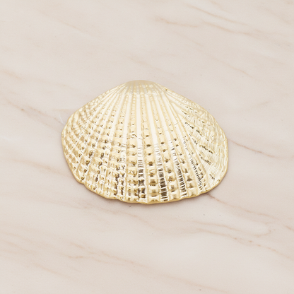 Clam Seashell Ver.1 Pendant, 2 Pc on warm marble background (PD.1053)