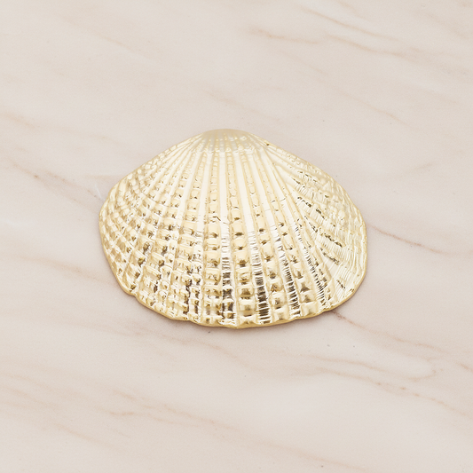 Clam Seashell Ver.1 Pendant, 2 Pc on warm marble background (PD.1053)