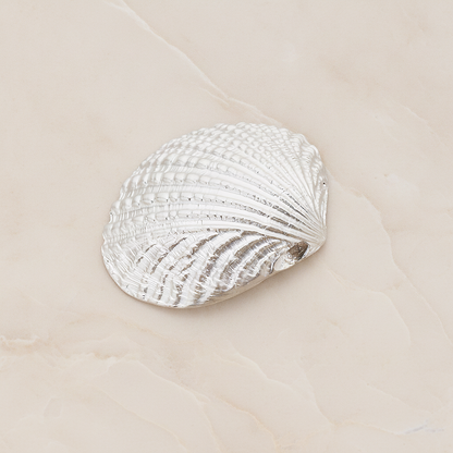 Clam Seashell Ver.1 Pendant, 2 Pc on warm marble background (PD.1053)