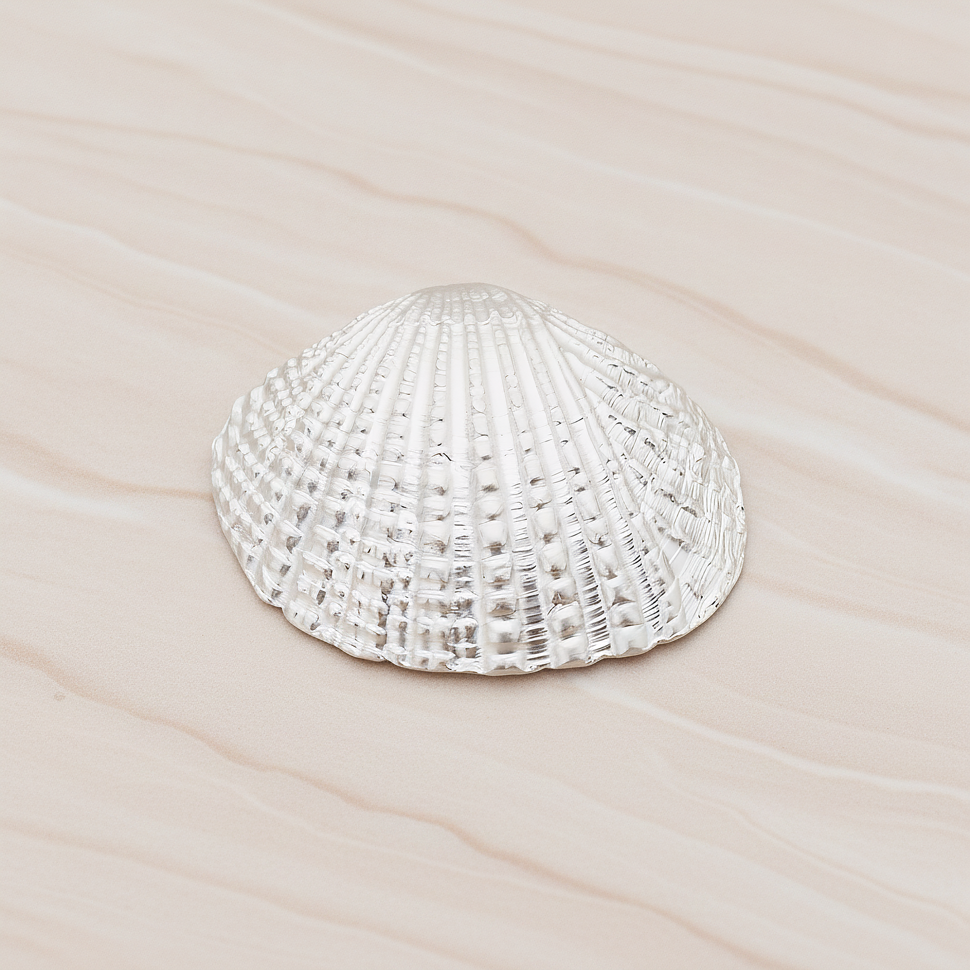 Clam Seashell Ver.1 Pendant, 2 Pc on warm marble background (PD.1053)