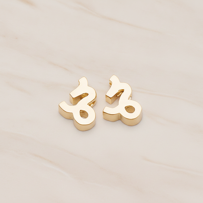 Zodiac Sign Pisces Bead Pendant, 2 Pc on warm marble background (PD.1895)
