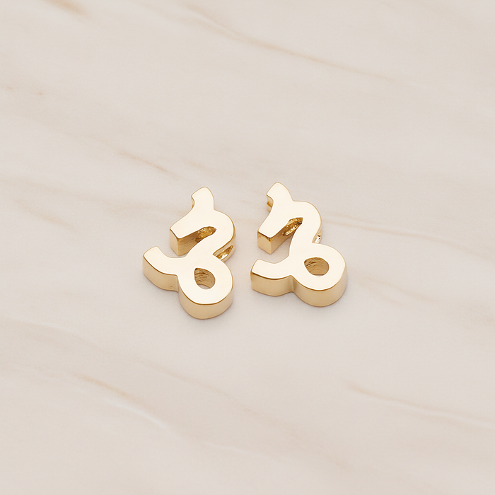 Zodiac Sign Pisces Bead Pendant, 2 Pc on warm marble background (PD.1895)