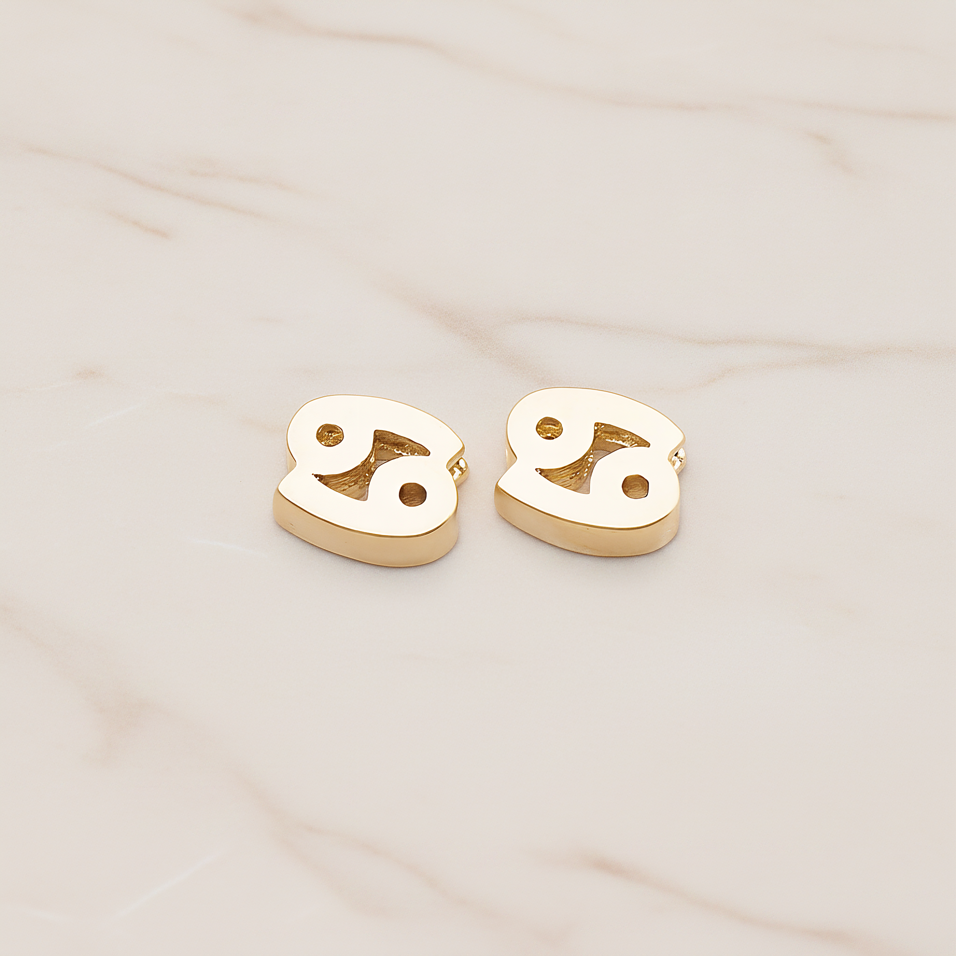 Zodiac Sign Pisces Bead Pendant, 2 Pc on warm marble background (PD.1895)
