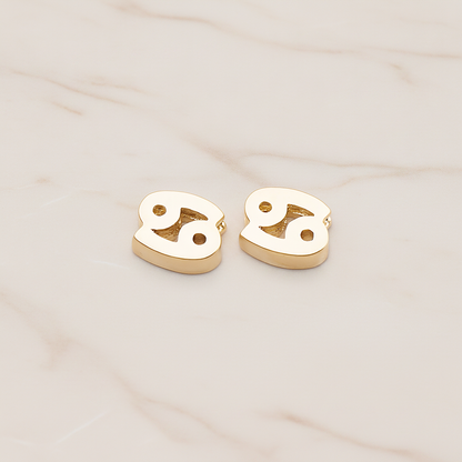 Zodiac Sign Pisces Bead Pendant, 2 Pc on warm marble background (PD.1895)