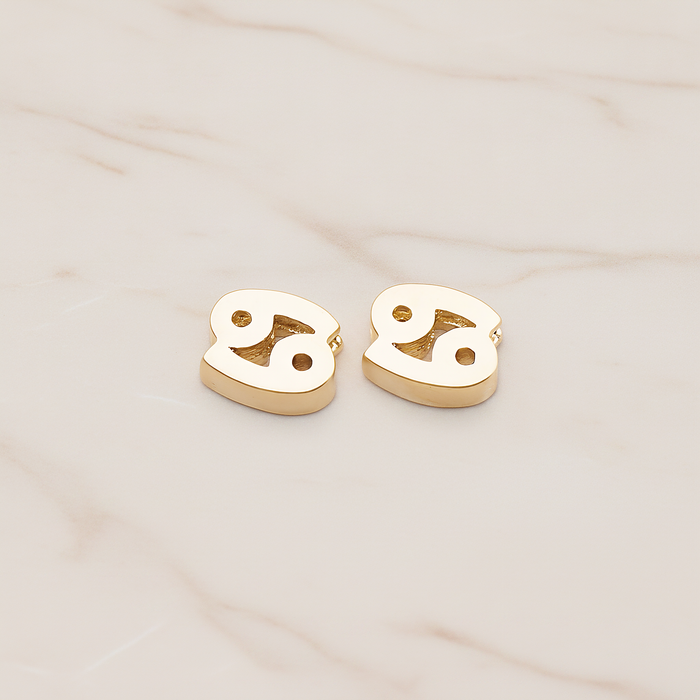 Zodiac Sign Pisces Bead Pendant, 2 Pc on warm marble background (PD.1895)