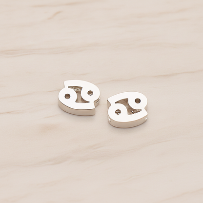 Zodiac Sign Pisces Bead Pendant, 2 Pc on warm marble background (PD.1895)