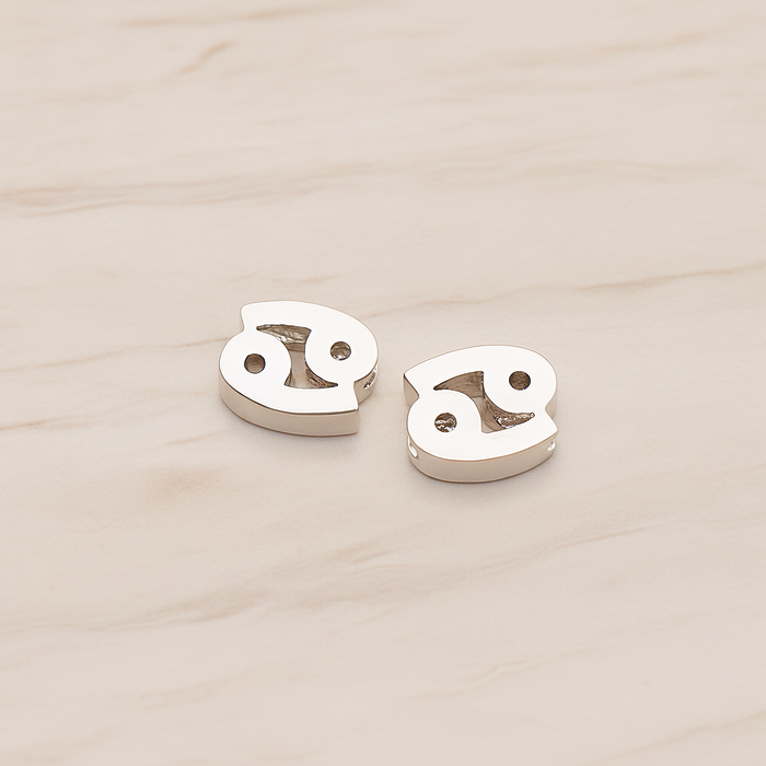 Zodiac Sign Pisces Bead Pendant, 2 Pc on warm marble background (PD.1895)