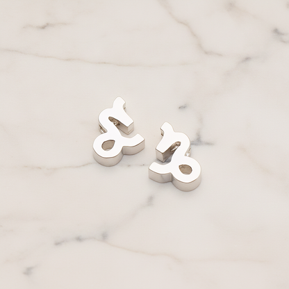 Zodiac Sign Pisces Bead Pendant, 2 Pc on warm marble background (PD.1895)