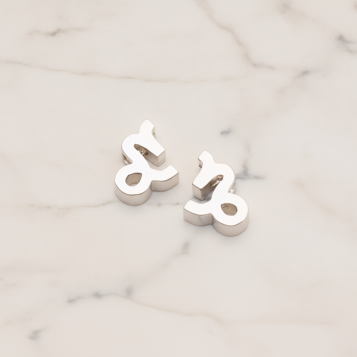 Zodiac Sign Pisces Bead Pendant, 2 Pc on warm marble background (PD.1895)