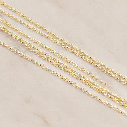 1.6 Rolo Chain, 1 Meter (CH.011)