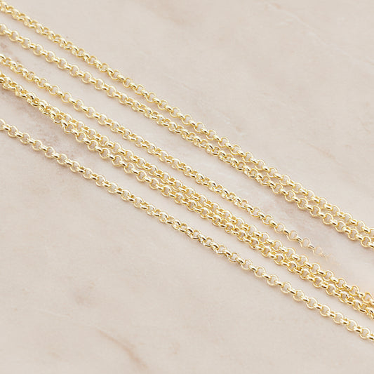 1.6 Rolo Chain, 1 Meter (CH.011)