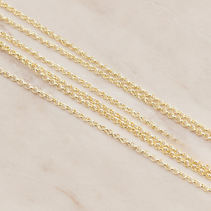 1.6 Rolo Chain, 1 Meter (CH.011)