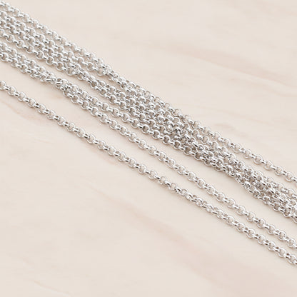 1.6 Rolo Chain, 1 Meter (CH.011)