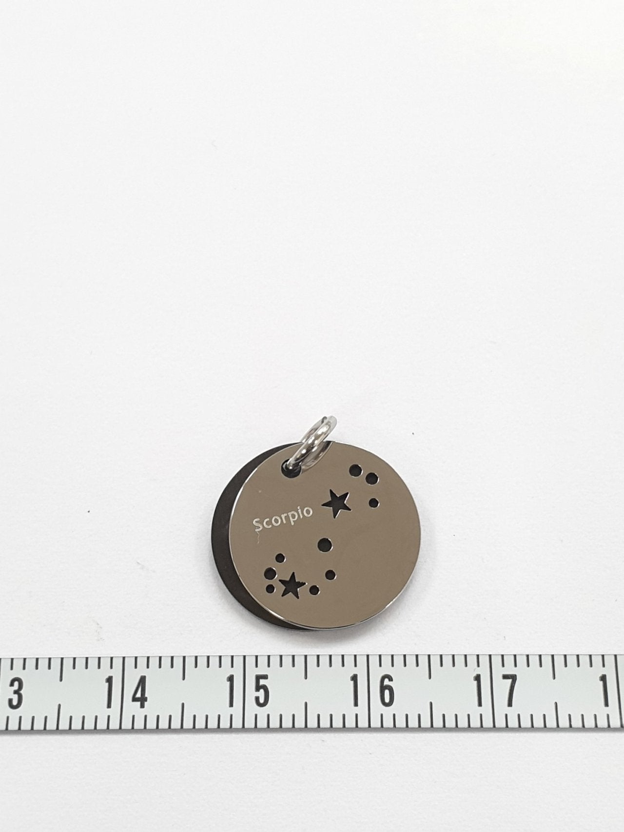 SG3.156 // Surgical Steel zodiac sign Pendant, 1 Pc