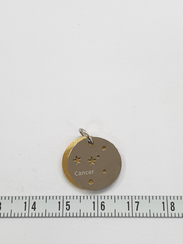 SG3.156 // Surgical Steel zodiac sign Pendant, 1 Pc