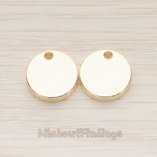 12mm Round Disk Tag Pendant, 2 Pc (PD.1011-01)